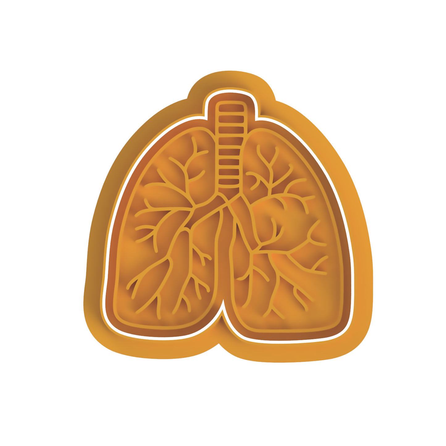 Lungs