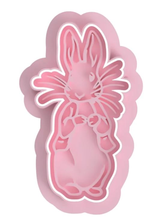Petter Rabbit Collection