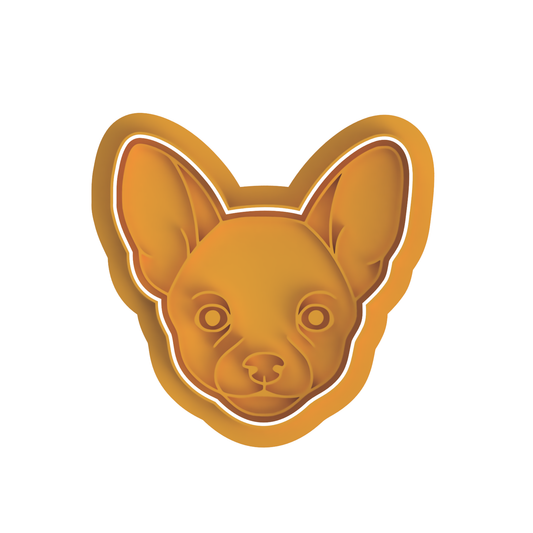 Chihuahua Dog
