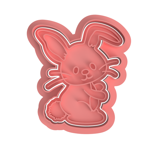 Cute Bunny