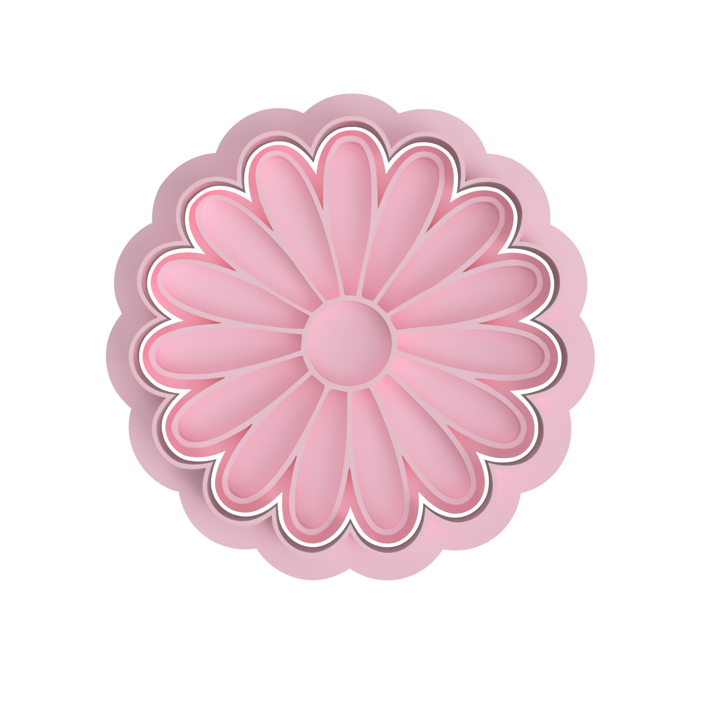 Daisy #5