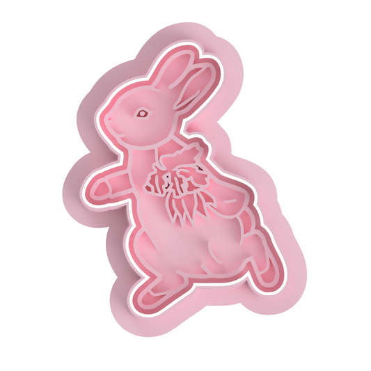 Peter Rabbit V1